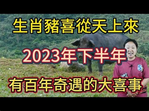 2023 豬|【2023豬運勢】2023豬運勢：福星高照，一路旺到年底！ 財運桃。